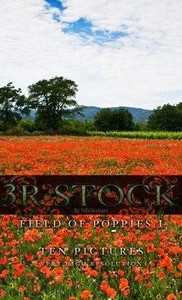 3R Stock - Poppy Field (1-2)