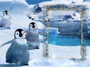 Рамка для фотошопа - Пингвины