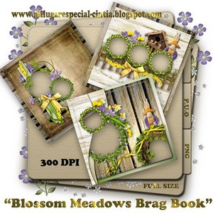   -   / blossom meadows