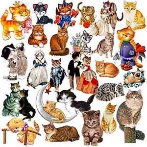 Clipart - so different cat