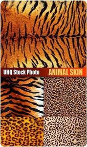 UHQ Stock Photo - Animal Skin