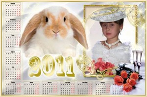 Календарь для Photoshop на 2011 год - Розы и вино