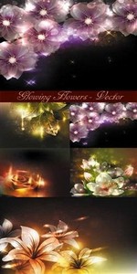 Glowing flowers - vector