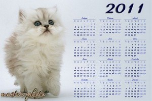 Календарь на 2011год с котенком
