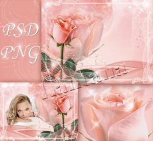 PSD исходник для фотошопа - Нежная роза