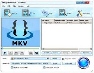 Bigasoft MKV Converter 2.5.14.4022