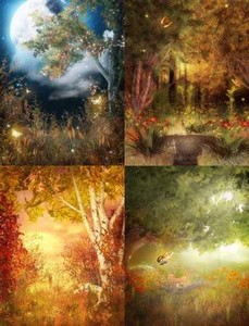 New Forest fairy tale ( Лесная сказка - фоны )