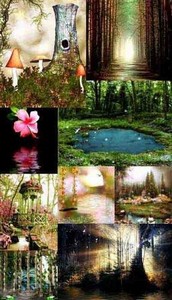 Various fairy backgrounds (  )
