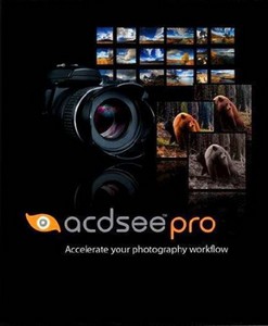 ACDSee Pro 4 build 198 Rus (Repack by Loginvovchyk).