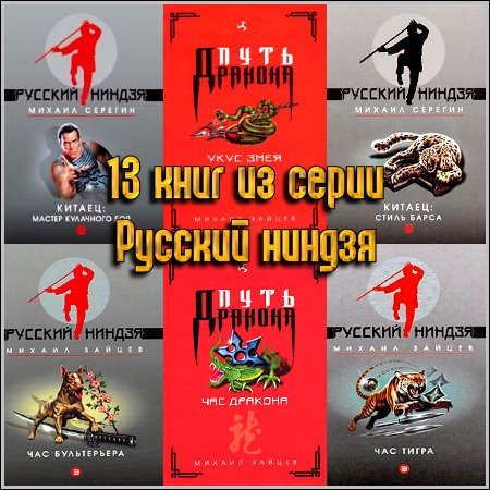 13 книг из серии Русский ниндзя
