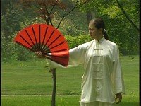    18  / 18 form Yang style Taiji fan (2002) DVD5