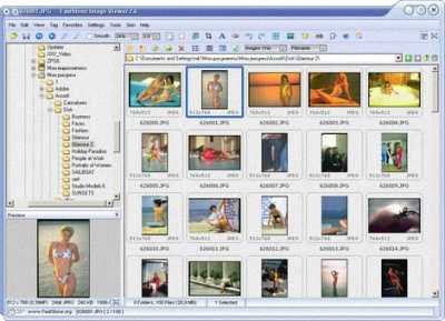 FastStone Image Viewer 4.5 + Portable