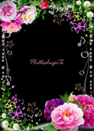 Цветочная рамка для Photoshop с яркими пионами и зеленью