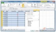   - Microsoft Excel 2010    !