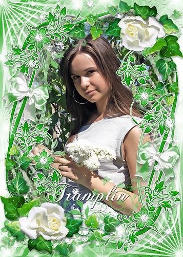 Рамка для Photoshop – Белые розы, завитушки, бантики
