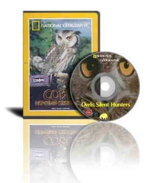 .   | Owls: Silent Hunters (2007|DVDRip)
