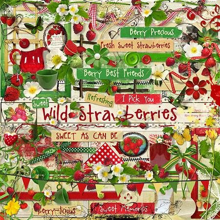  - - Wild Strawberries