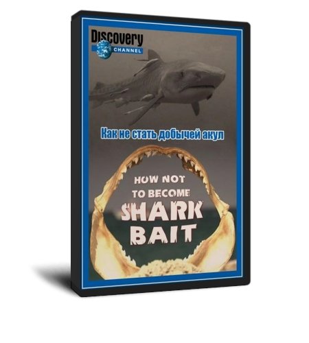Как не стать добычей акул|How not to become shark bait(SATRip|2008)