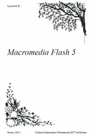 Macromedia Flash 5.
