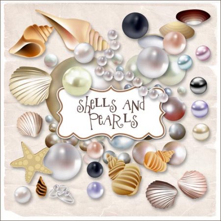 - -    / Scrap kit - Sheals And Pearls
