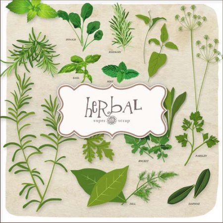- -  / Scrap kit - Herbal