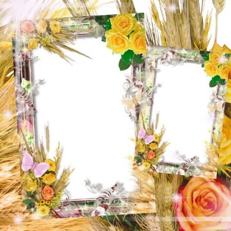 Рамка для фотошопа с цветами – Колоски и розы