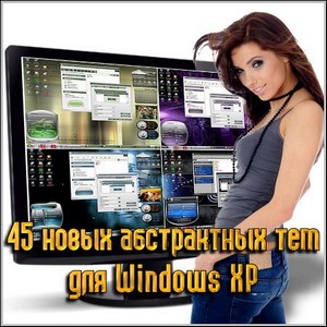 45     Windows XP