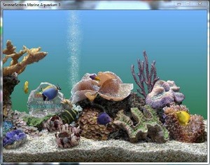 SereneScreen Marine Aquarium v 3.1.5563 (2011/ENG) -  /Unattended