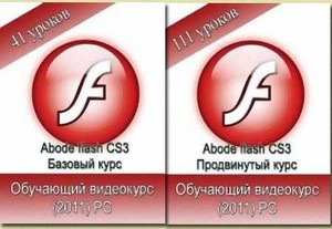 Adobe Flash CS3.    