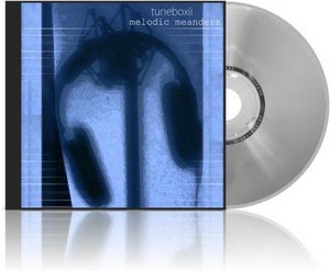 Tuneboxii - Melodic Meanders (2011)