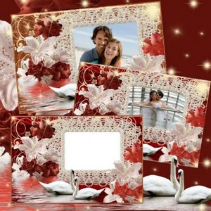 Романтическая рамка для фотошопа с белыми лилиями и красными розами – Любов ...