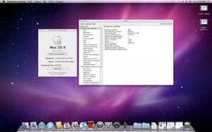 Mac OS X Snow Leopard v.10.6.3 + Delta/Combo Updait 10.6.8 (Rus/Eng)