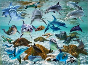 Клипарт  – Дельфины