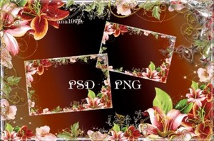 Рамка для фотошопа с восхитительными лилиями в формате PSD и PNG– Цветы, лю ...