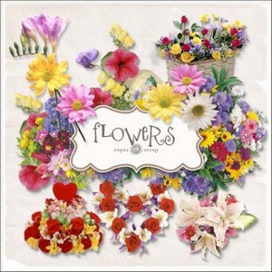 - -  / Scrap kit - Flowers