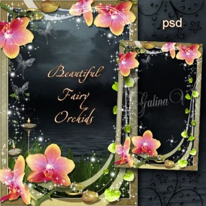Цветочная рамка - Сказочная красота орхидей