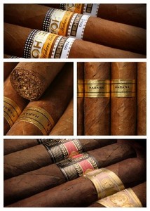   -   | Cuban Cigars