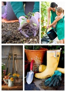    -   | Stock Photo - Gardening