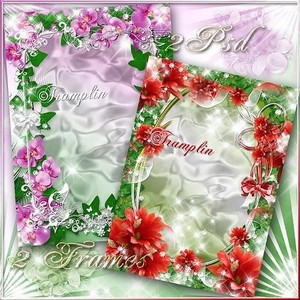 2 Рамки  для фото с цветами – Нежны, сладки, тонкие запахи, листья и стебли ...