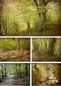 Растровый клипарт - Магический лес |  Magic forest 