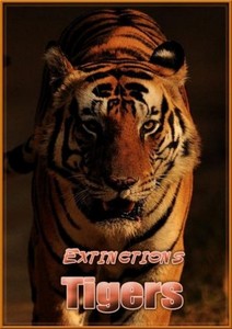 Обратный отсчет. Тигры / Extinctions. Tigers (2010) SATRip