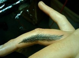 Feather Brush