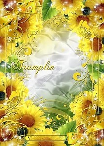 Рамка для фото – Хризантемы желтые – солнышка сияние