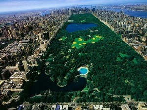 Фото - Центральный парк в Нью-Йорке / Central Park in New York