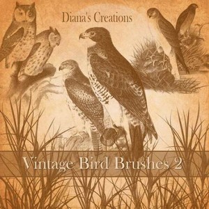 Vintage Bird Brushes 2
