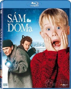   / Home Alone (1990) HDRip + BDRip-AVC + DVD5 + BDRip 720p + BDRip ...