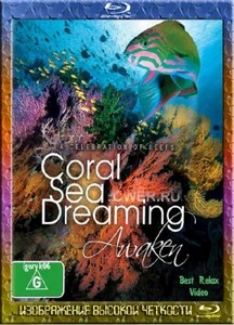 Грёзы Кораллового моря. Пробуждение (2010) HDRip + BDRip + BD-Remux