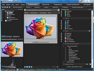 ACDSee Pro v5 Build 110 Final Ru  11.10.2011 Portable