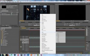     Adobe Premiere Pro CS 5.5(2011)