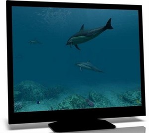 Dolphins 3D Screensaver 1.0.0.2